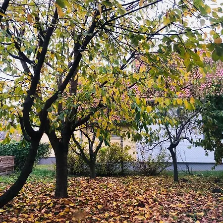 Apartment Club Mansion Vendeghaz -siofok *